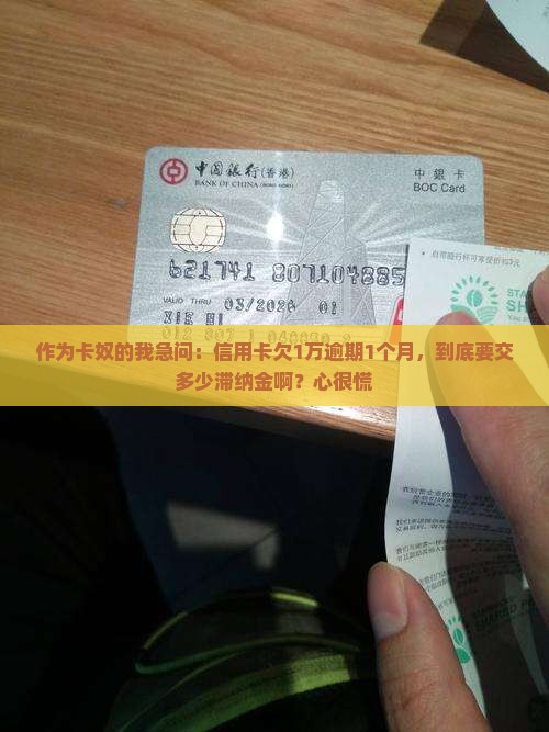 信用卡欠款1万元逾期一个月滞纳金是多少