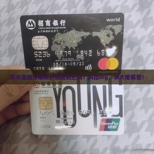 京东金融分期可以提前还款吗