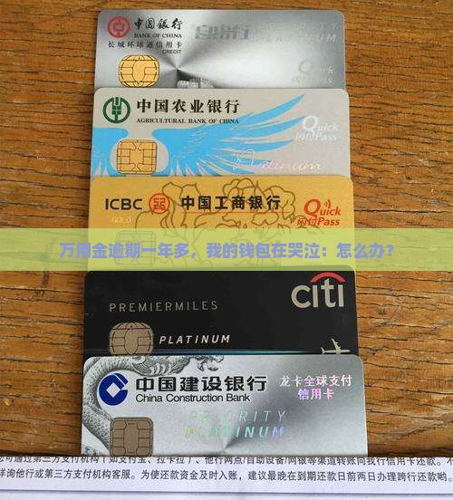万用金逾期一年多了