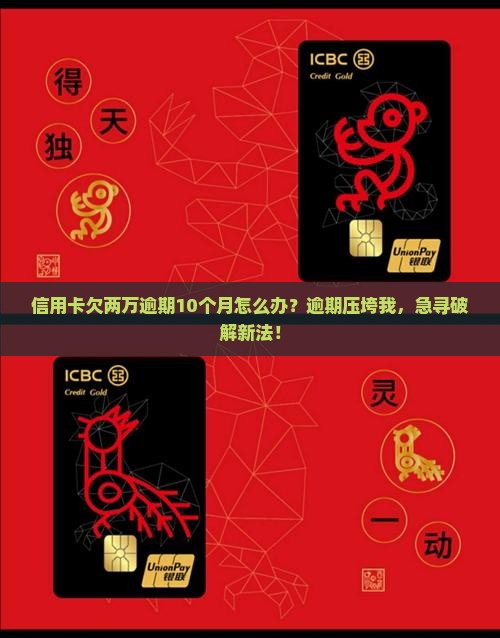 信用卡欠两万逾期10个月怎么办
