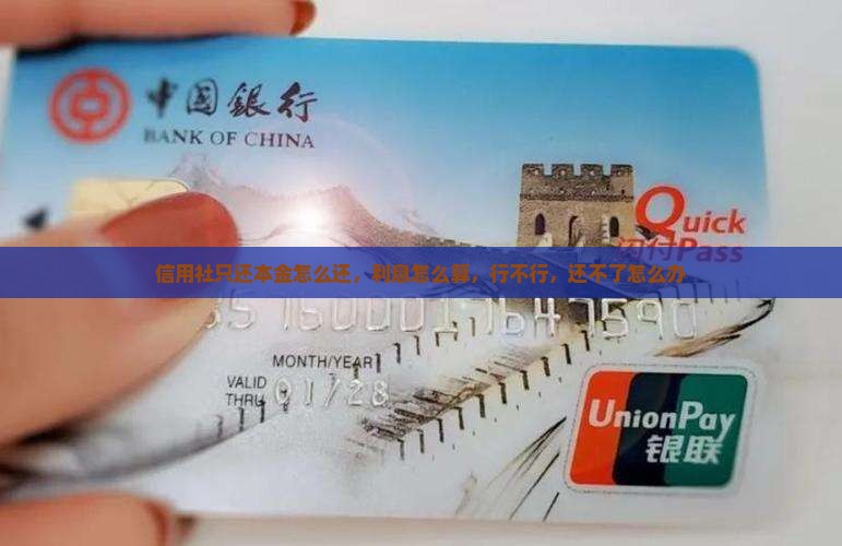 信用社只还本金怎么还