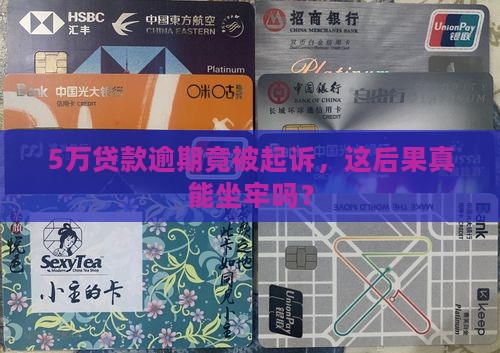5万贷款逾期被起诉会坐牢吗