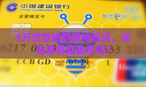 5万贷款逾期被起诉会坐牢吗