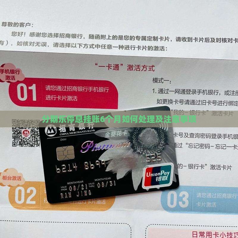 分期乐停息挂账6个月如何处理