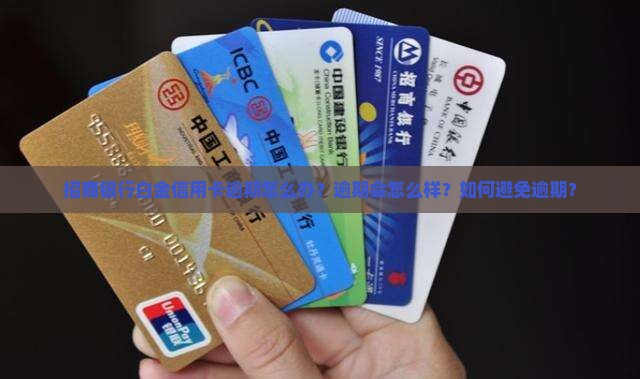 招商银行白金信用卡逾期