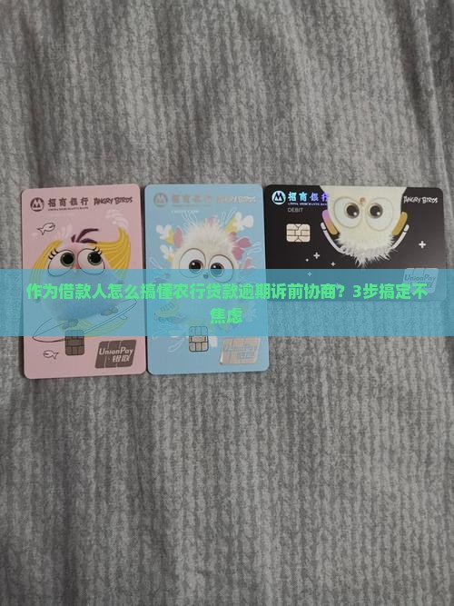 农业银行贷款逾期诉前协商的流程及注意事项