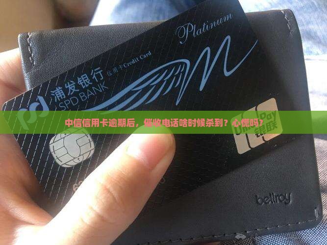 中信信用卡多久开始催收款项