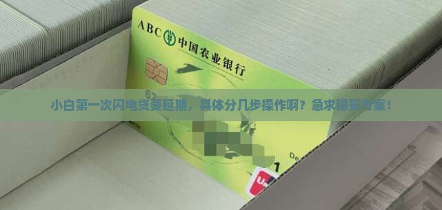 闪电贷协商延期的具体流程是怎样的