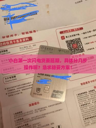 闪电贷协商延期的具体流程是怎样的