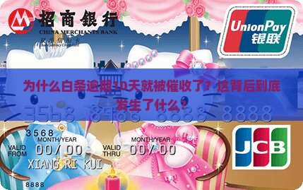 白条为何逾期10天就被催收