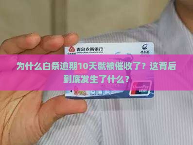 白条为何逾期10天就被催收