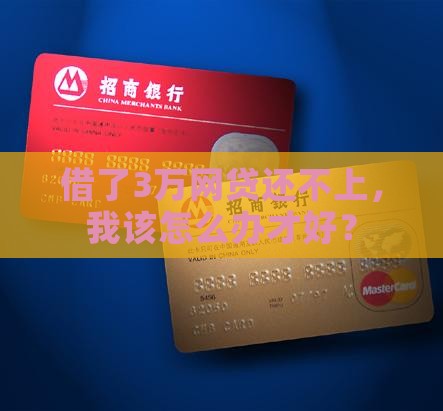 网贷平台借3万还不起怎么办