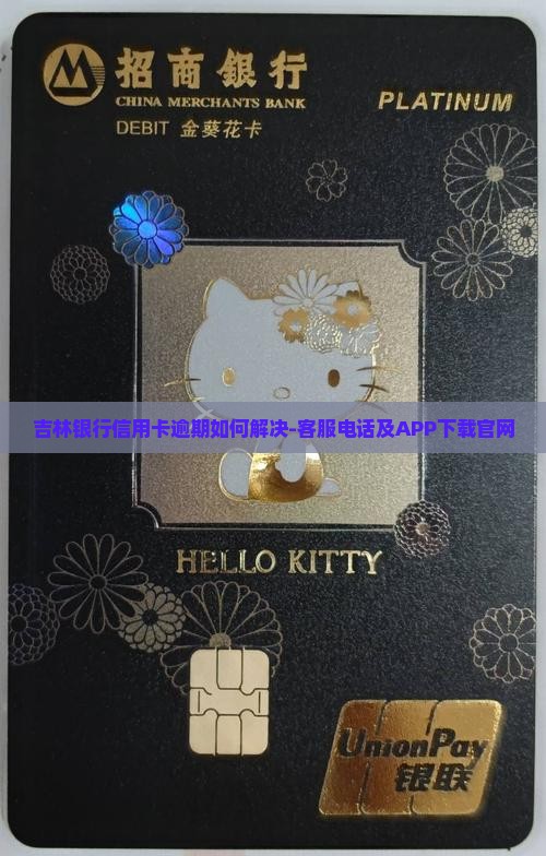 吉林银行信用卡逾期如何解决