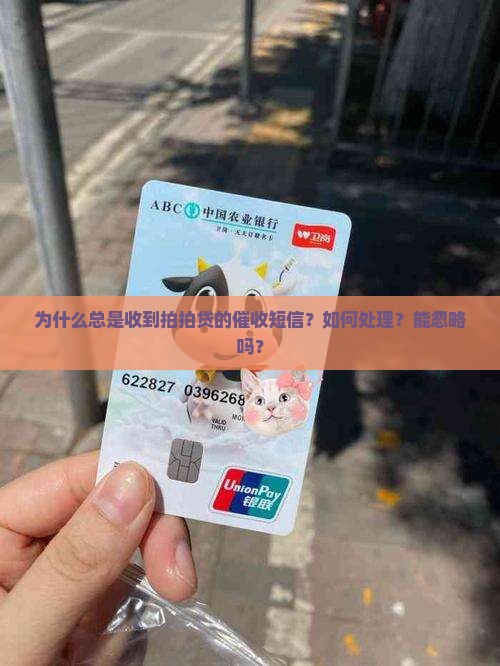 拍拍贷信息老发来催收短信该怎么办