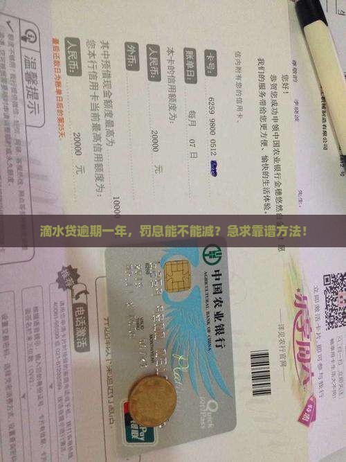 滴水贷逾期一年罚息怎么减免有效方式