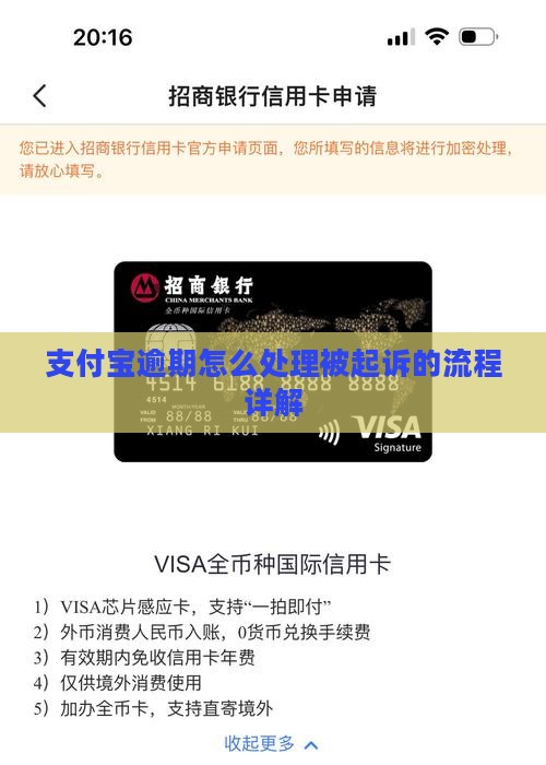 支付宝逾期还款被起诉坐牢的处理流程详解