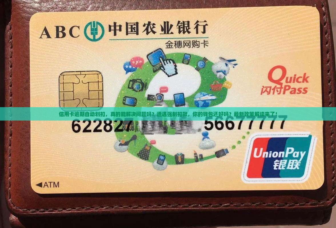信用卡逾期自动划扣