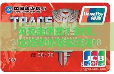 农金贷款欠款怎么还