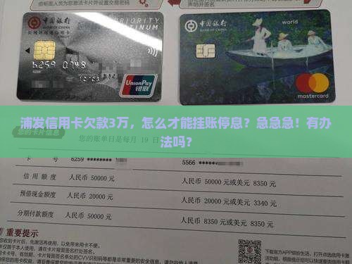 浦发信用卡如何挂账停息
