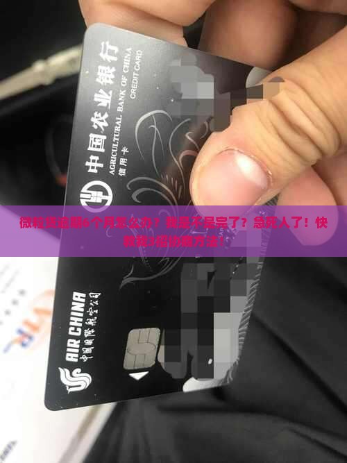 微粒贷逾期6个月能否协商怎么办
