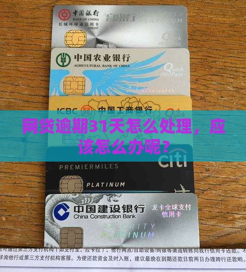 网贷逾期31天怎么办呢