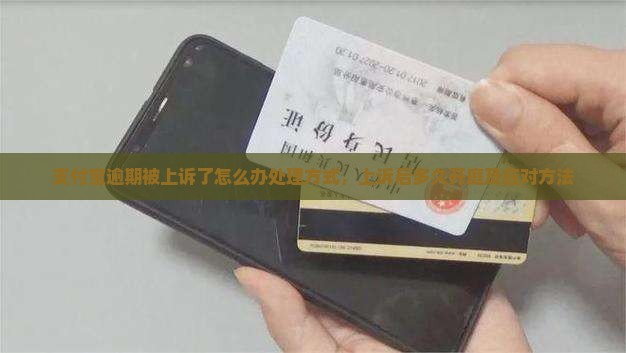支付宝逾期被上诉了怎么办处理方式