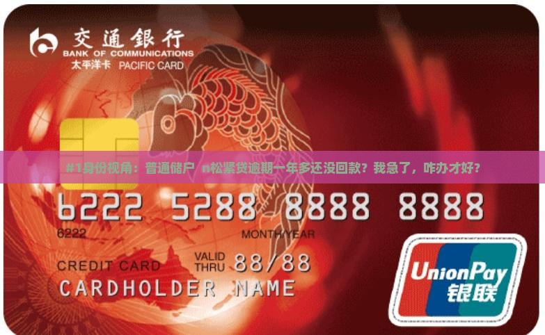 松紧贷逾期一年多怎么办