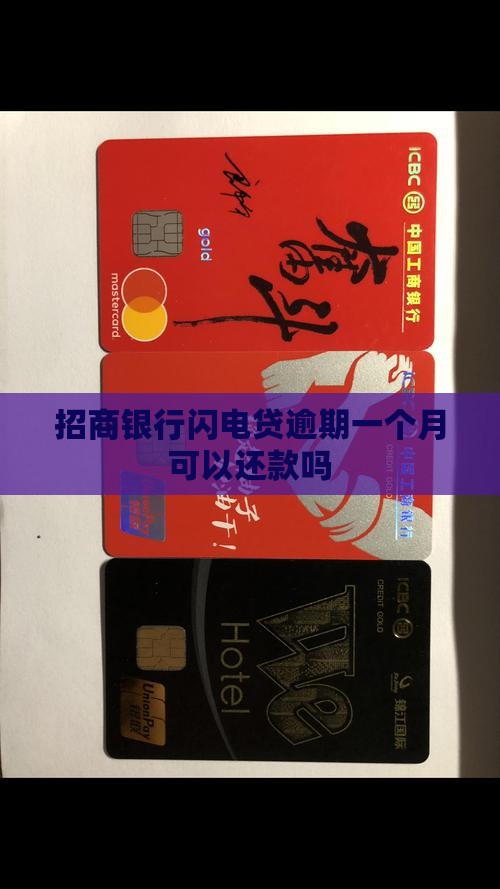 招行闪电贷晚还一个月可以还款不