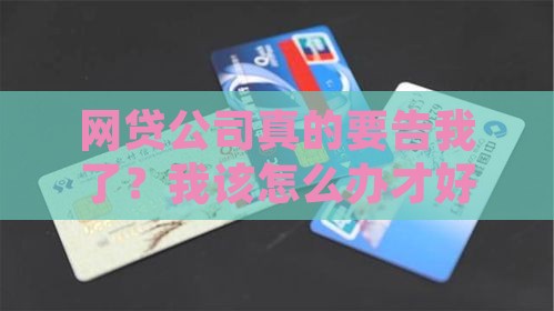网贷起诉我了我怎么办才好