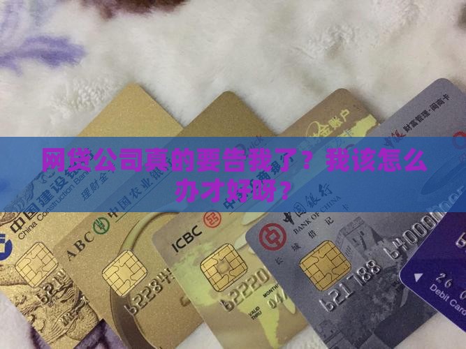 网贷起诉我了我怎么办才好