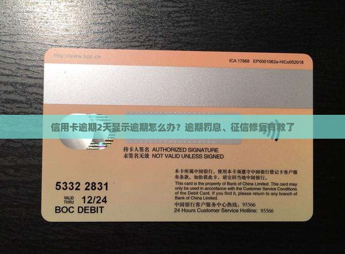 信用卡逾期2天显示逾期怎么办
