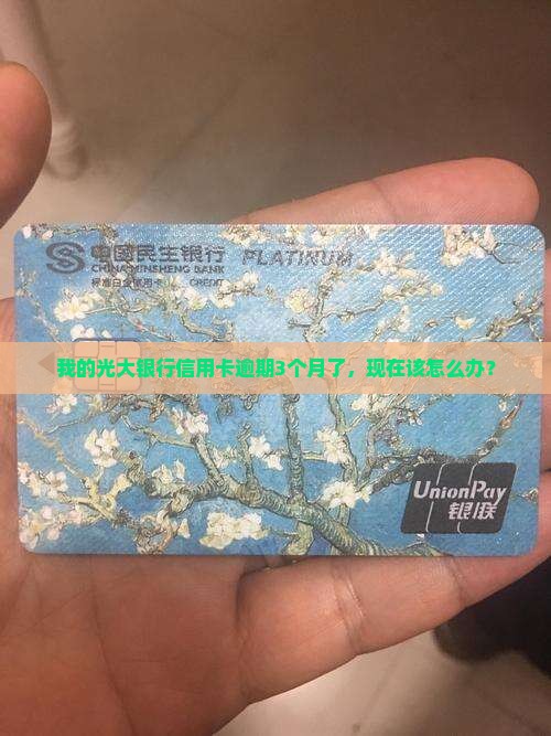 光大银行信用卡3个月逾期应该怎么处理