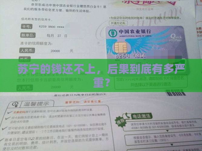 苏宁逾期未还款会怎样