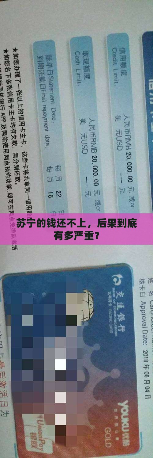 苏宁逾期未还款会怎样