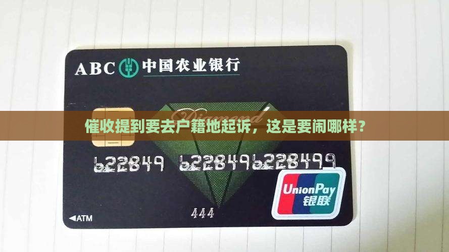 催收说去户籍地起诉什么意思