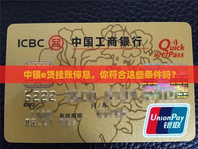 中银e贷挂账停息的条件有哪些