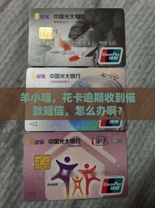 羊小喵享花卡逾期被催款