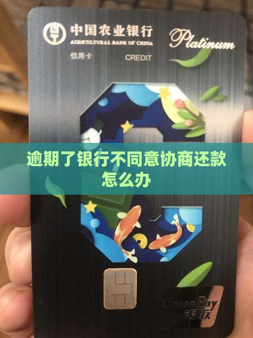 银行不给协商分期还款怎么办