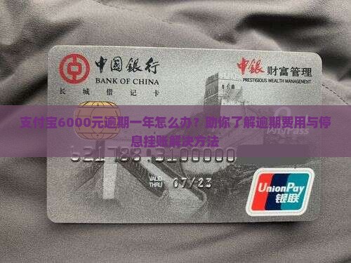 支付宝6000逾期一年如何解决