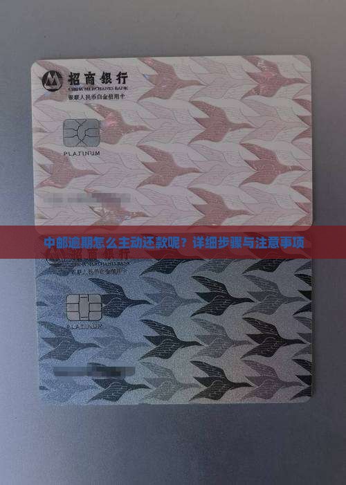 中邮逾期怎么主动还款呢