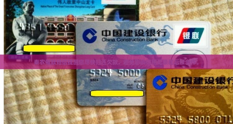 秦农催款短信