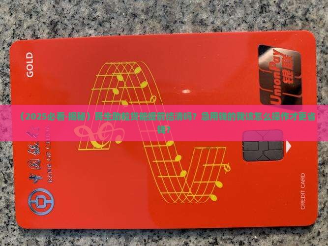 民生助粒贷可以提前结清吗