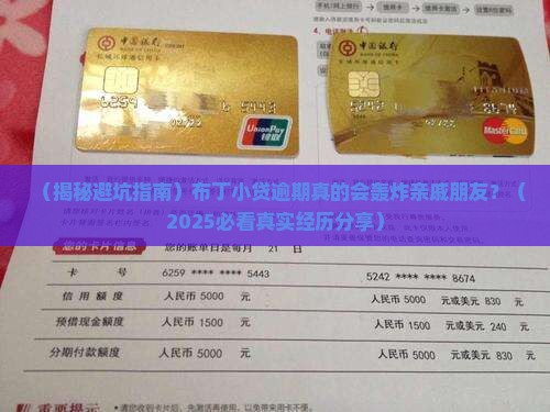 布丁小贷逾期轰炸吗
