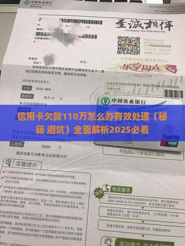 信用卡欠款110万怎么办有效处理