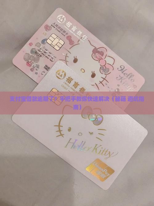 支付宝借款逾期还款怎么办