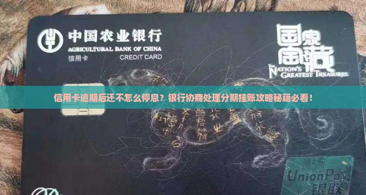 信用卡逾期后协商停息怎么处理