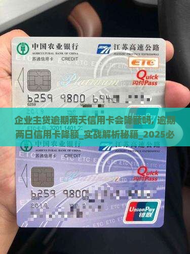 企业主贷逾期两天信用卡会降额吗