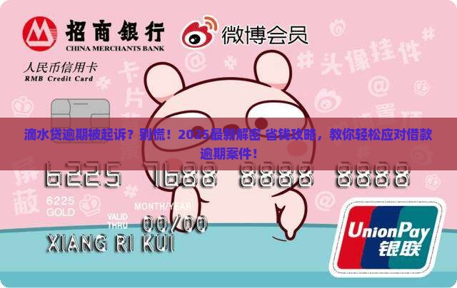 滴水贷逾期被起诉了怎么办理借款逾期案件
