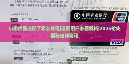 小象优品逾期了怎么处理