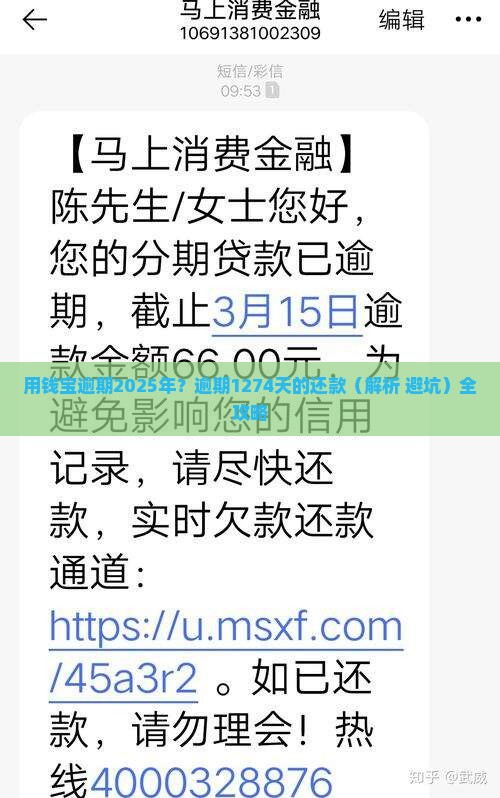 用钱宝逾期了1274天